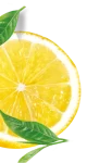 Lemon Image Footer