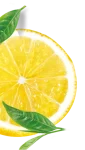 Lemon Image Footer